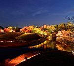京都のライトアップ
